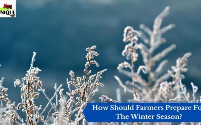 How Should Farmers Prepare For The Winter Season?
