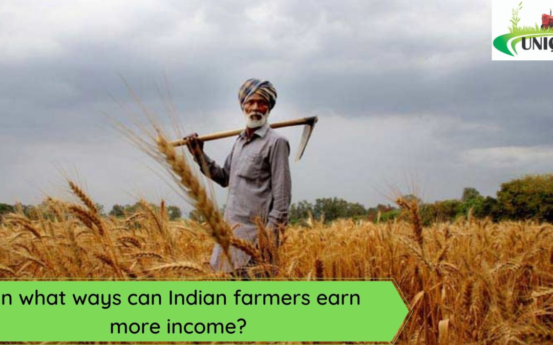 In what ways can Indian farmers earn more income?