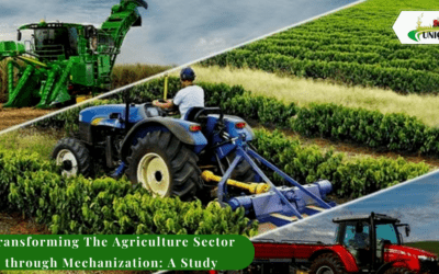 Transforming The Agriculture Sector through Mechanization: A Study