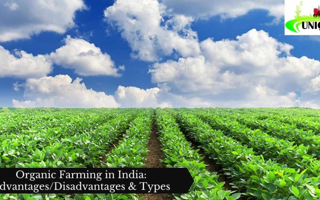 Organic Farming in India: Advantages/Disadvantages & Types