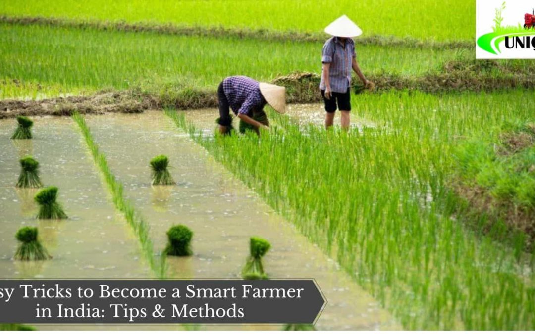 Easy Tricks to Become a Smart Farmer in India: Tips & Methods