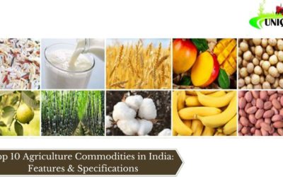 Top 10 Agriculture Commodities in India: Features & Specifications