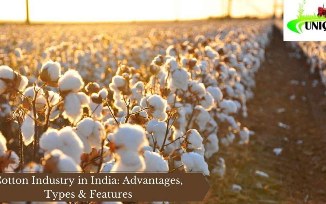 Cotton Industry in India: Advantages, Types & Features