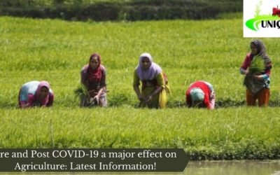 Pre and Post COVID-19 a major effect on Agriculture: Latest Information!