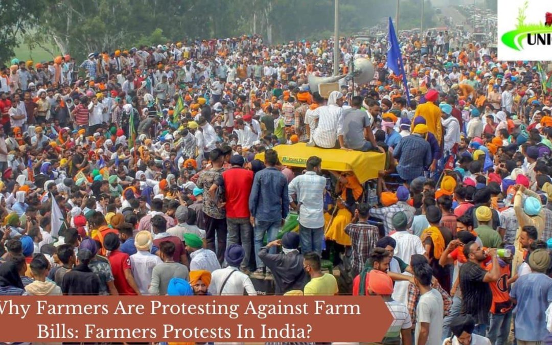 Why Farmers Are Protesting Against Farm Bills: Farmers Protests In India?